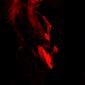0054_Alice in Chains_09-26-06_sm